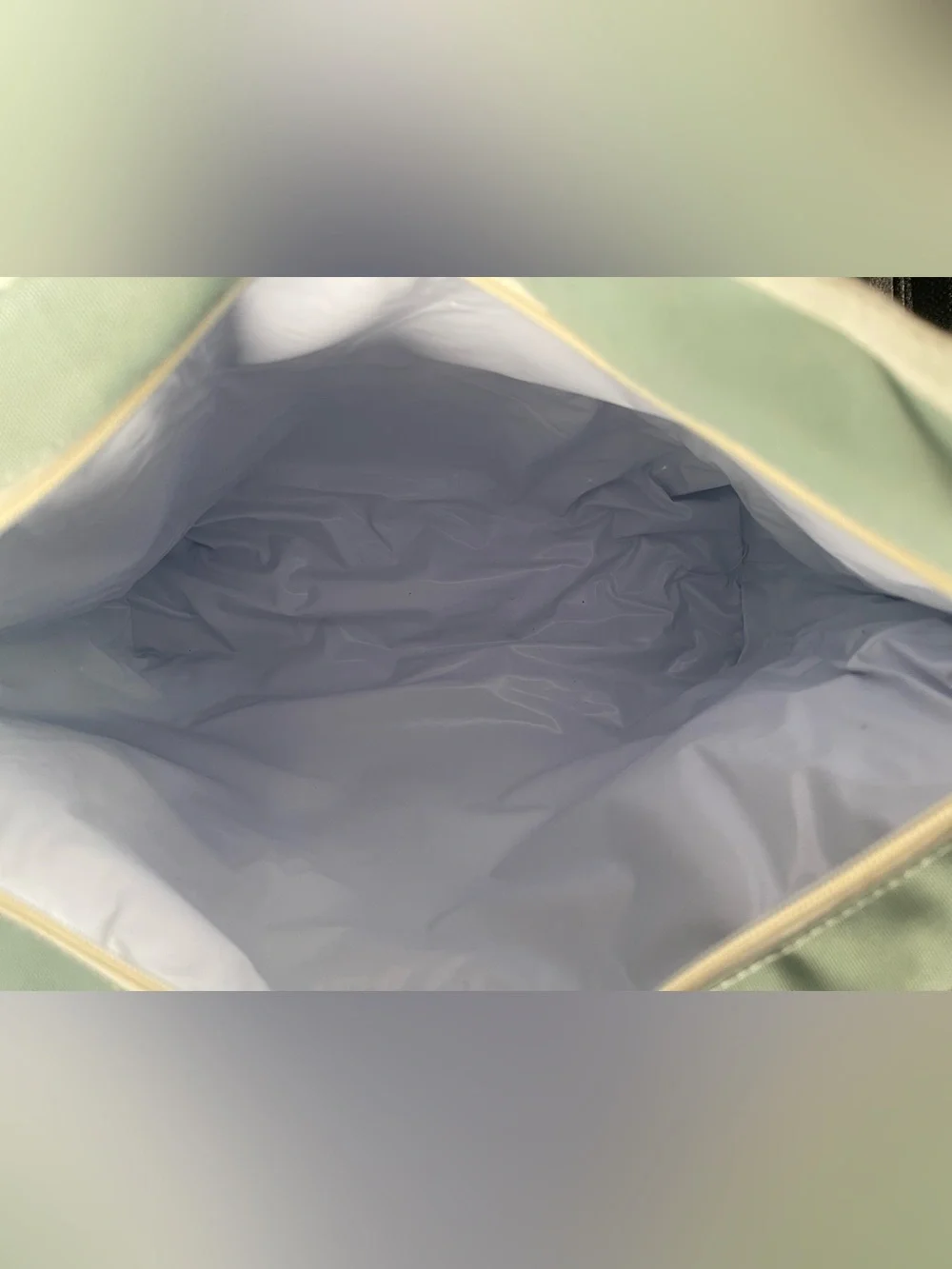 Mint and Green insulated Beach cooler Tote Bag